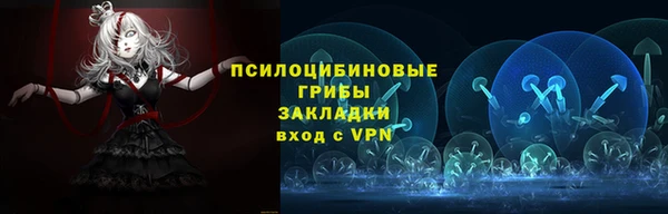 СК Ельня