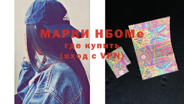 СК Алексин