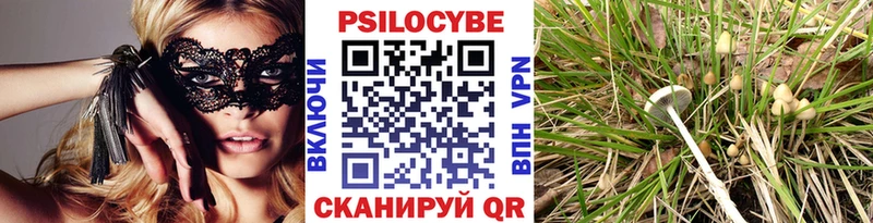 Галлюциногенные грибы мицелий  MEGA ссылки  Алушта  где можно купить наркотик 